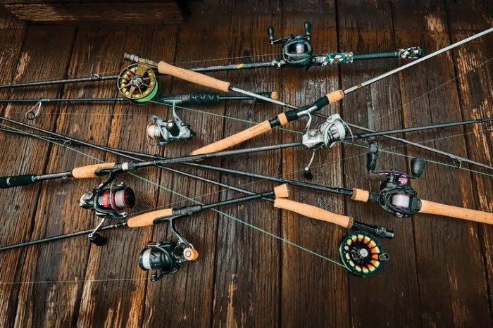 Fishing rods types different casting learn before off apr posted