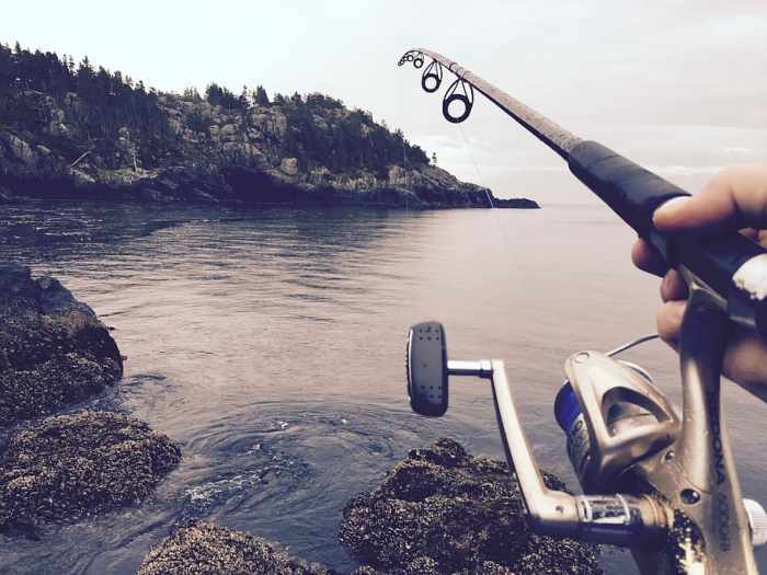 Panduan lengkap memancing untuk pemula