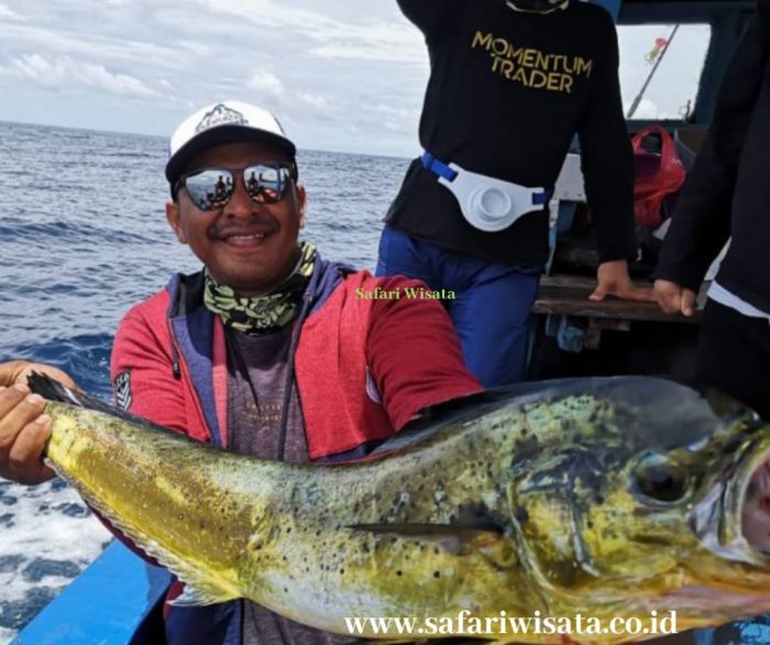 10 teknik memancing yang efektif untuk hasil terbaik