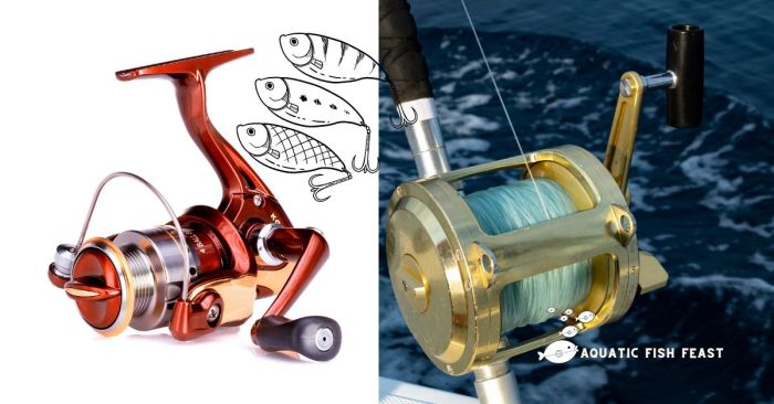 Spinning fishing reels reel baitcasting difference between