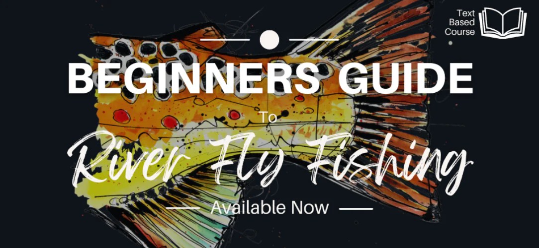 Fishing fly panfish bluegill sunfish techniques flies water open