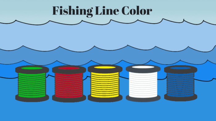 Fishing line guide