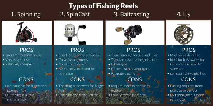 Reel fishing types parts spinning reels different understanding bait baitcast casting trout pros cons tips baitcaster line main oil saved