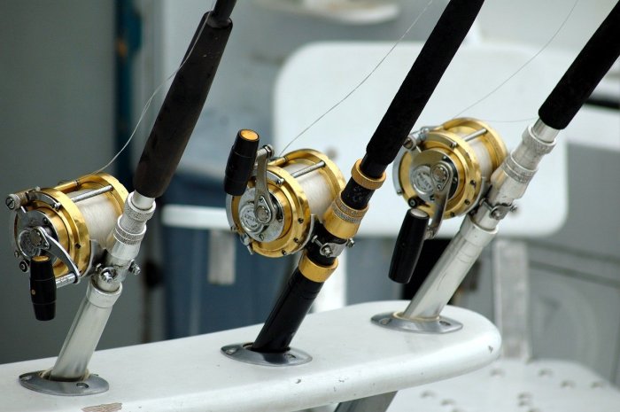 Reel fishing spincast reels types different understanding closed face choose reviews spool board buying ultimate