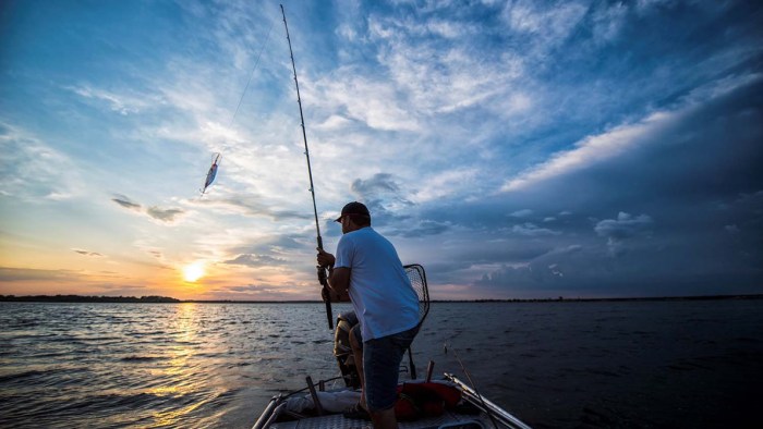 Fishing night need catfish started bass get saved