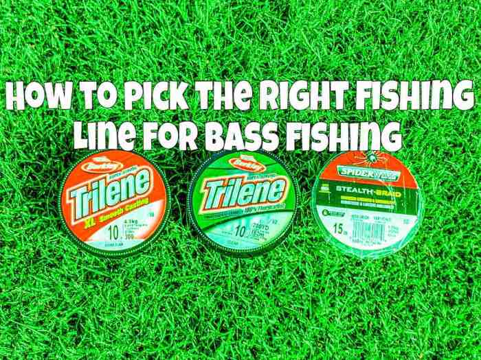 Fishing line