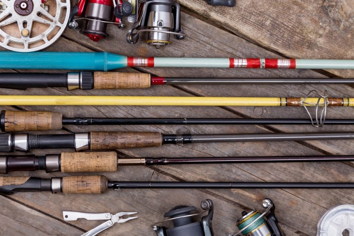 Rods reel reels saltwater