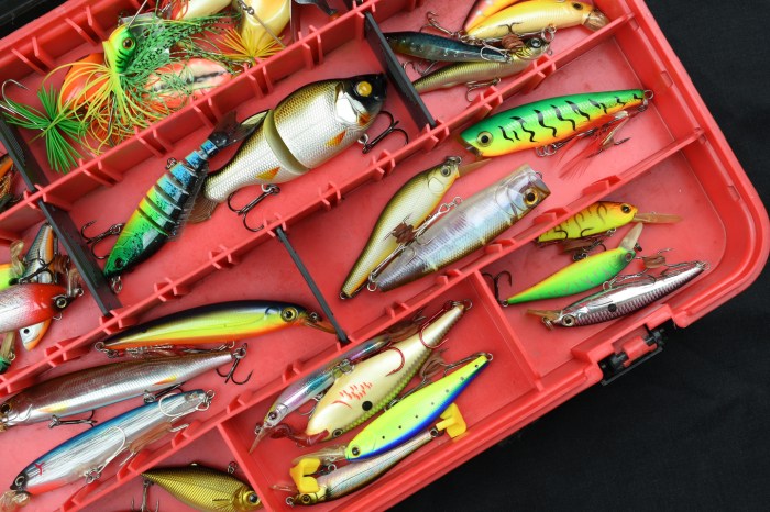 Fishing lures bass types lure bait tackle fish wobler google search saltwater tips choose board safe knots rigs diy stuff