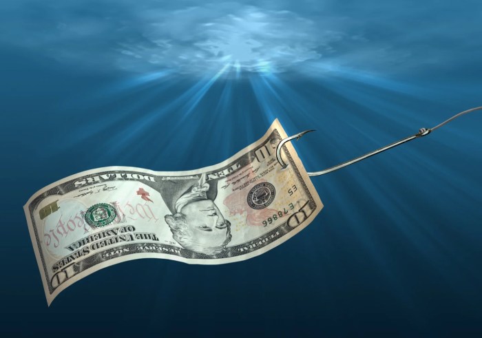 Money fishing save cheaper buying than food just article