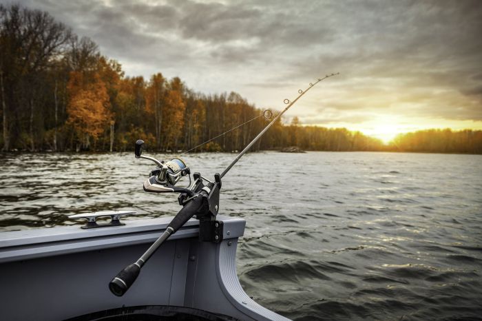 10 teknik memancing yang efektif untuk hasil terbaik