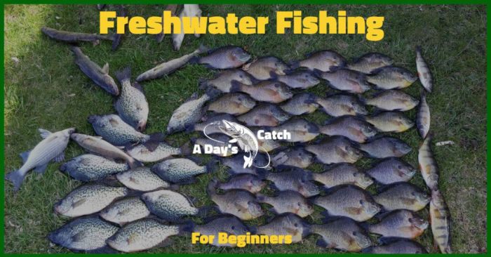 Fish beginners guide fishing need get things started once