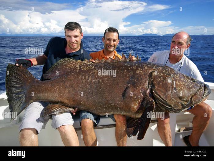 Rahasia sukses memancing ikan besar di perairan dalam