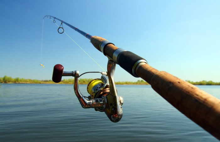 Cara memilih joran terbaik untuk berbagai jenis ikan