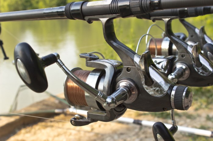 Reel reels spinning rod cons pros